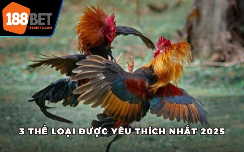 3 thể loại được yêu thích nhất 2025