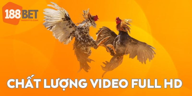 Chất lượng video Full HD sắc nét và không giật lag