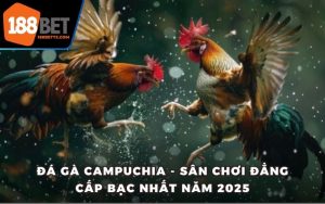Đá Gà Campuchia