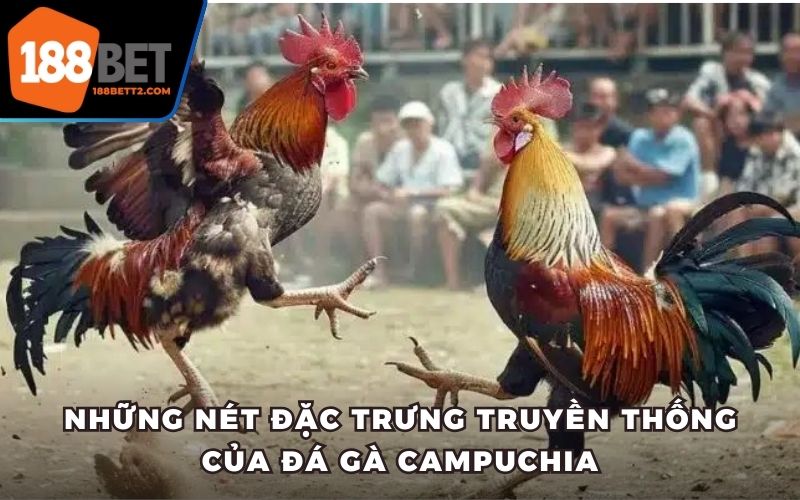 Những nét đặc trưng truyền thống của đá gà Campuchia