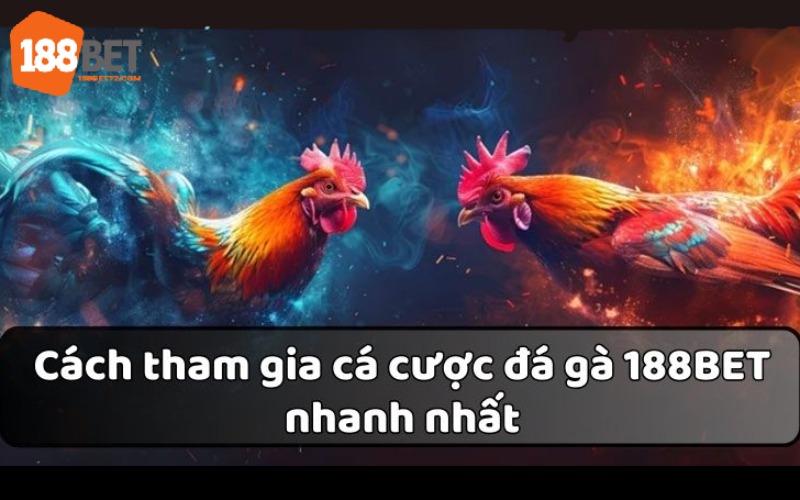 Quy trình tham gia chuyên nghiệp