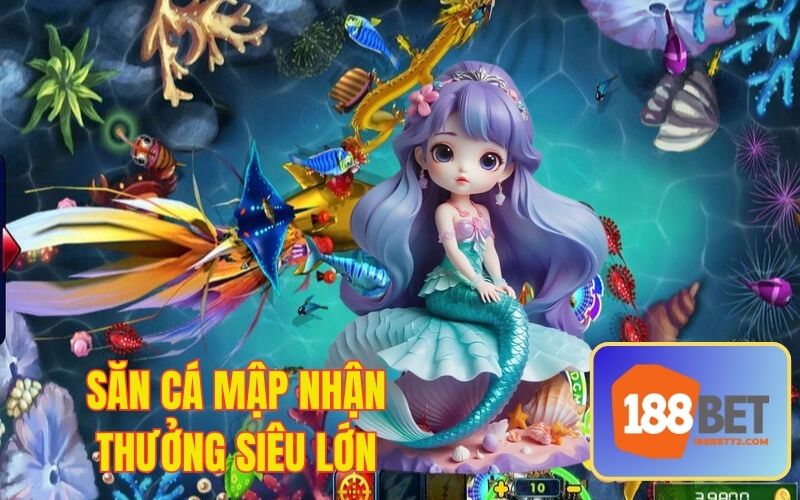 Săn cá mập nhận thưởng gấp 100 lần